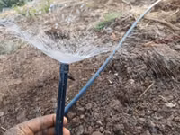 Microjet Sprinkler — Foto 2