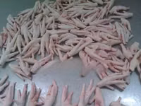 Chicken Feet — фото 1