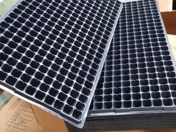 Seedling Trays