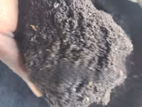 Sunflower Seeds Meal for Animal Feeds (Mashudu Ya Alizeti) — picha 2