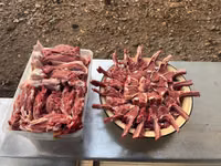 كبش, الأغنام — الصورة 5