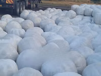 Silage Available at 15 Per Kg. — foto 3