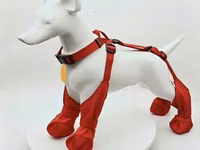 🐶 İtlər üçün yağışdan qoruyucu ayaqqabı — L razmer Yeni, istifadə — फ़ोटो 1