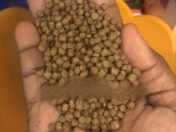 Floating Fish Feeds (Chakula Cha Samaki)