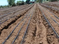 Drip Installation 1/2 Acre Kit — picha 3