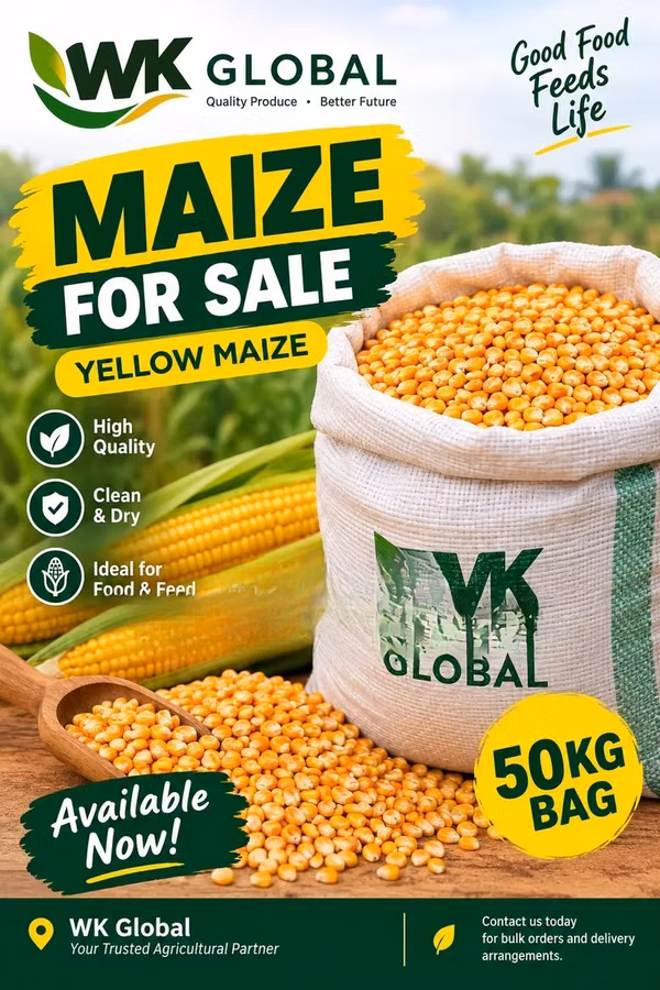 Yellow Maize for Sale