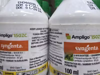 Ampligo 150 Zc Fungicide 100ml — picha 3