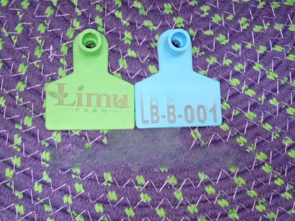 Farm Herd Tracking Sheep Small Numbered Tags