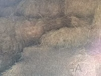 Animal Feed at Nakuru Ngata — picha 1