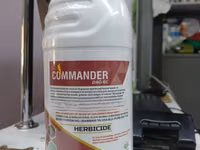 Commander 240ec Selective Onion Herbicide 1l — Foto 3