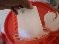 Chick Feeders (Vya Chakula Kwa Ajili Ya Vifaranga) — picha 1