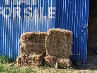 Animal Feed at Nakuru Ngata — picha 3