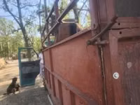 Caballo, Caballos — foto 4