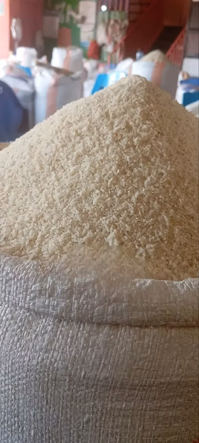 Dogs Broken Rice