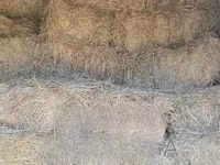 Animal Feed at Nakuru Ngata — picha 2