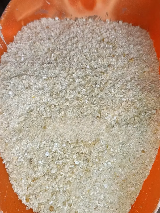 Broken Maize for Chicks and Chicken (High Quality) - 50kg