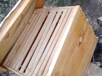 Box Langstroth Hives — 照片 2