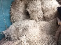 Boma Rhodes Grass Variety Square Bale of Dried Grass Hay — 照片 5