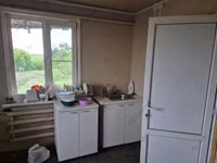 Vaca, Tipo de fábrica de Bukovina de la vaca ucraniana roja y moteada. — foto 4