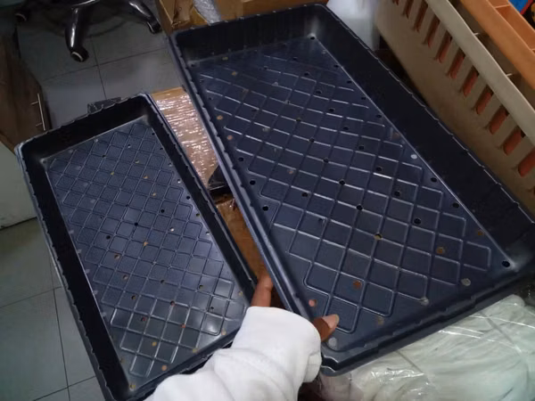 Efficiently Perforated Plant Trays - With Holes