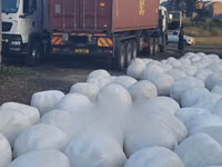 Silage Available at 15 Per Kg. — foto 4
