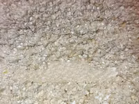 Broken Maize for Chicks and Chicken (High Quality) - 50kg — 照片 2