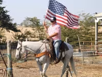 Caballo, Quarter Horse — foto 7