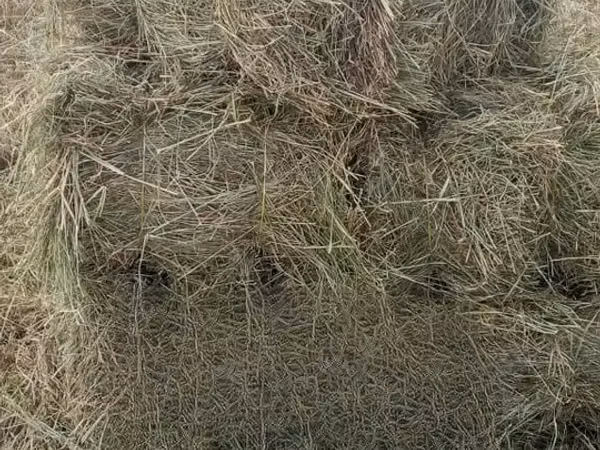 Hay for Sale. 190 Per Bale