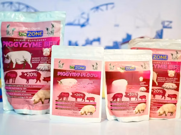 Piggyzyme BFB Suppliment. 250g.