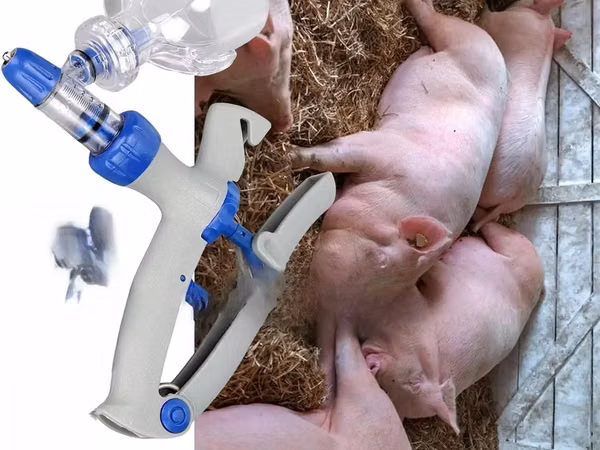 . Efficient Livestock Vaccination Syringe - 1 Ml