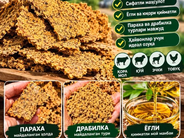 Кунжара 4400 кафолат