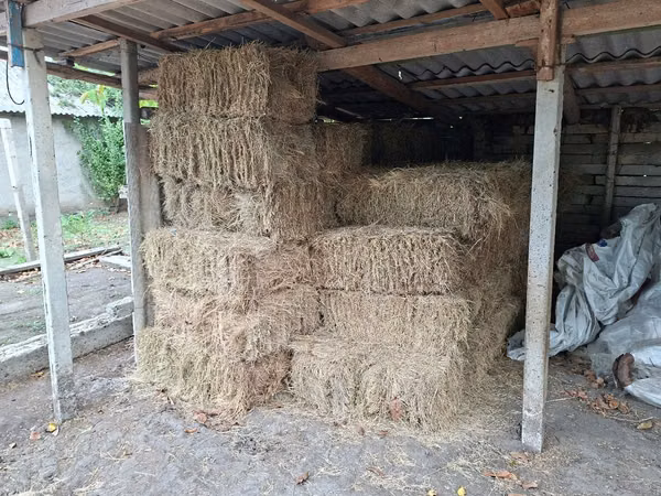 Тюки