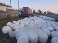 Silage Available. — फ़ोटो 3