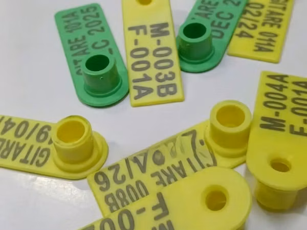 Yellow and Green Slim Tags for Goats and Sheep - Customized