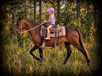 Farasi jike, Quarter Horse — picha 1
