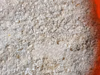 Broken Maize for Chicks and Chicken (High Quality) - 50kg — 照片 5