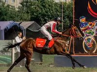 Yegua, Arabian horse — foto 2