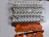 Numbered Eartags — picha 2