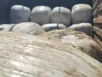 Silage Available. — फ़ोटो 4