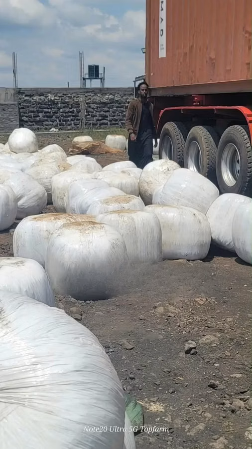 Silage Available.