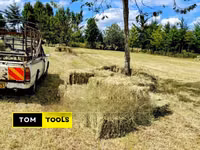 10PCS Organic Boma Rhodes Hay Bales — 照片 1