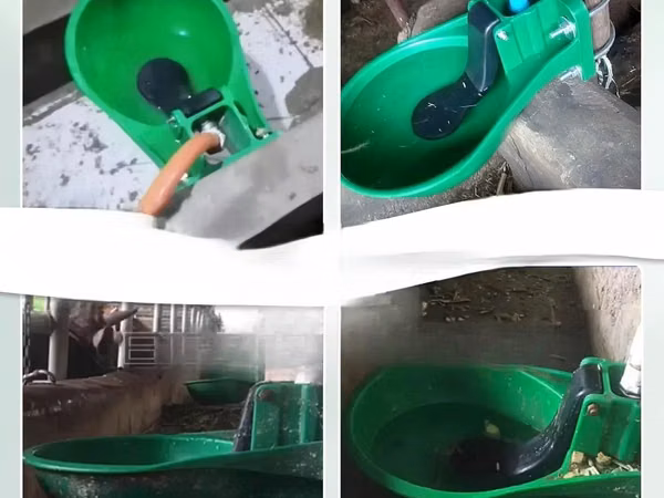 Plastic Cow Drinkers - Livestock Push Water System