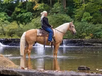 Farasi dume, Palomino — picha 2