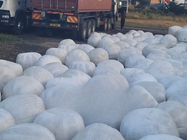 Silage Available at 15 Per Kg.