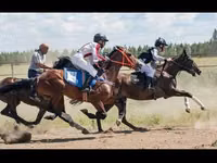 Caballo, Manipuri pony — foto 3