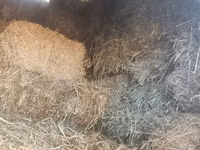 Vând nutreț pentru animale . — 照片 1