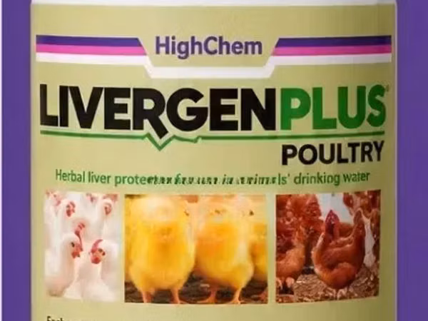 Livergen Plus