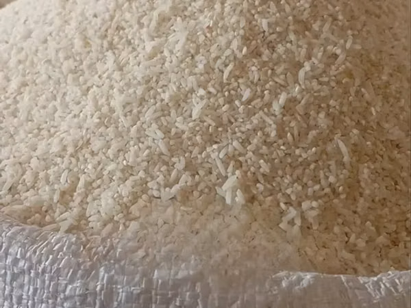Dogs Broken Rice