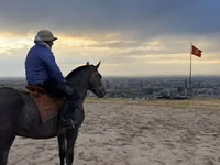Farasi dume, Hanoverian — picha 3