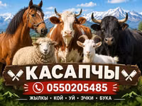 Услуги мясника/касатчы для забоя и разделки скота на выезде. Работаем — picha 2